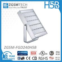 240W 250W Philips Chips LED Security Flood Light with IP66